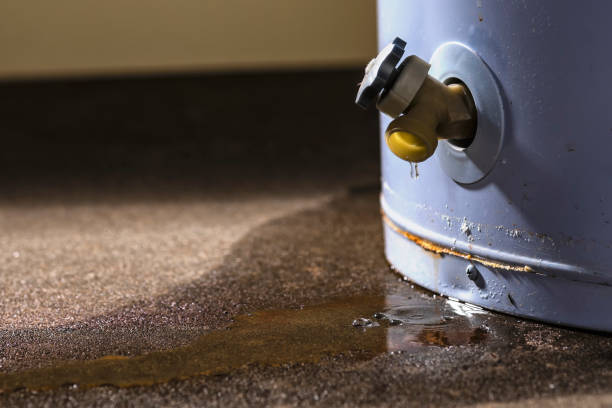Best Mold removal after water damage  in Carrollton, TX