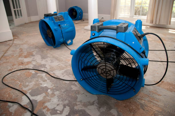 Best Water damage restoration near me  in Carrollton, TX